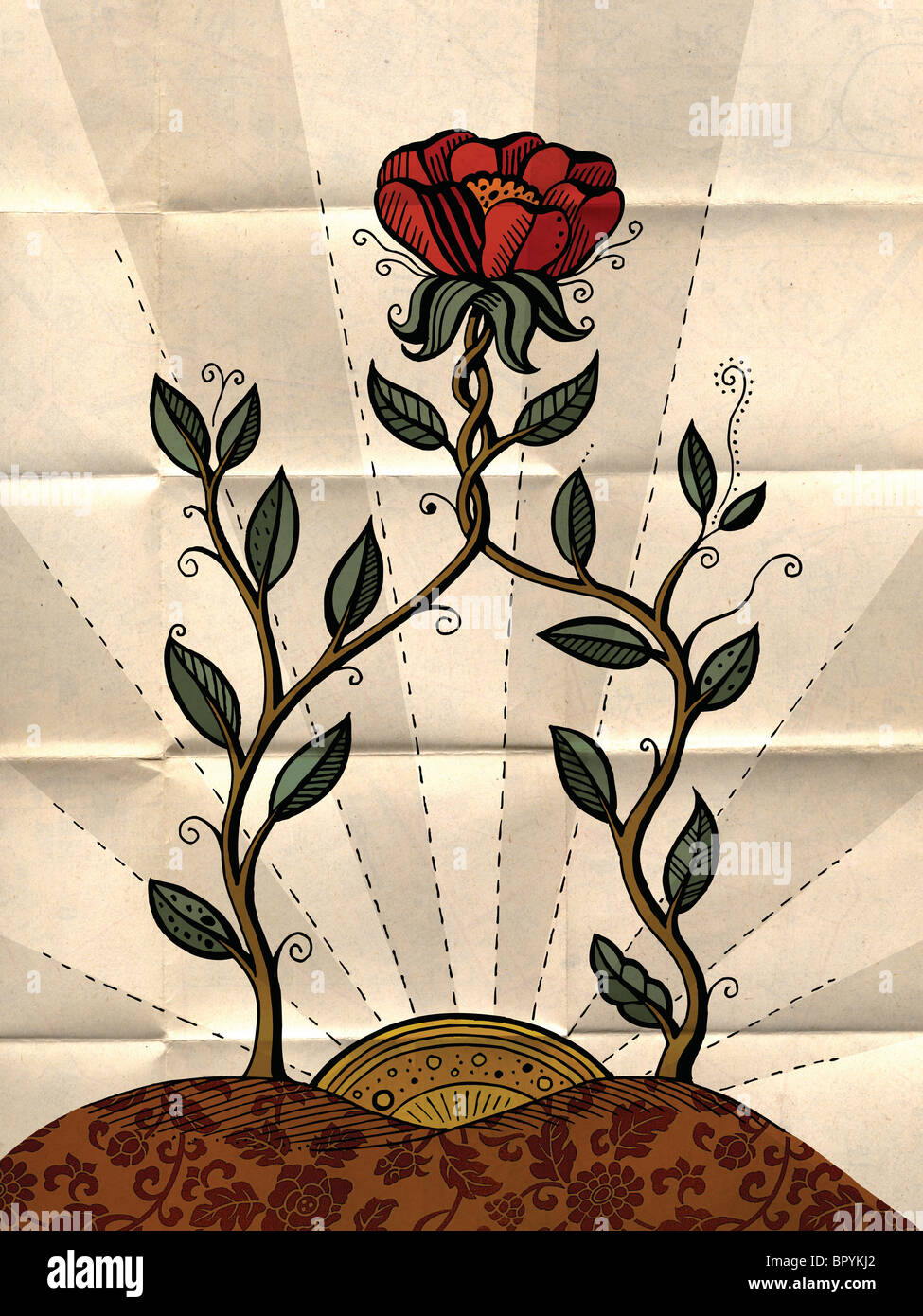 Roses sun vertical nobody hi-res stock photography and images - Alamy