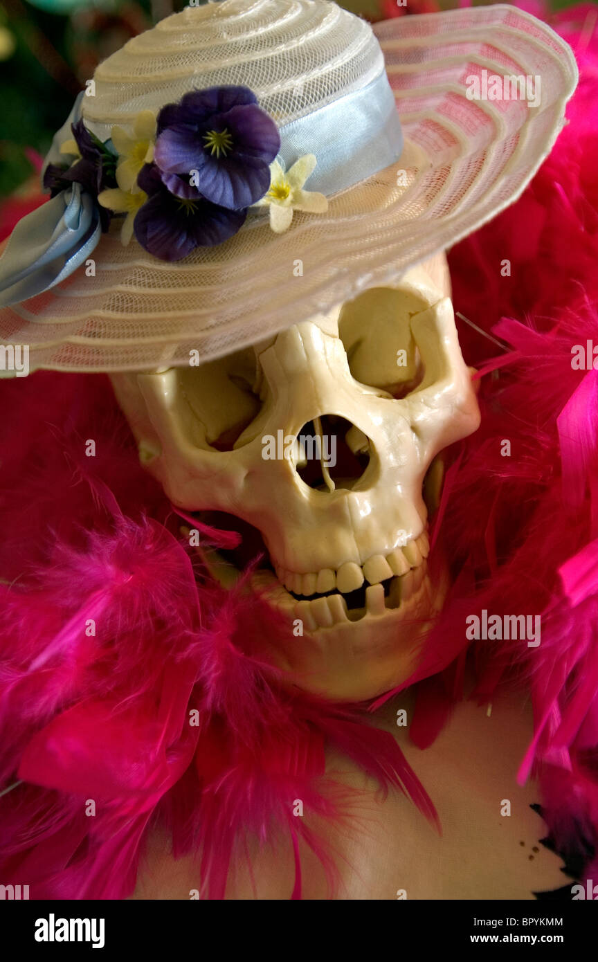 A plastic skull is dressed up in a feather boa and girlish hat. Stock Photo