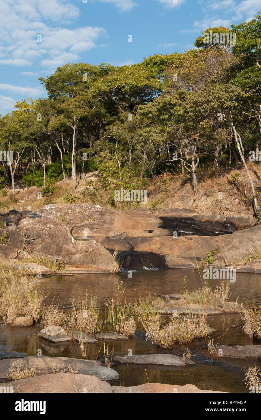 Dzalanyama Forest Reserve, Malawi Stock Photo