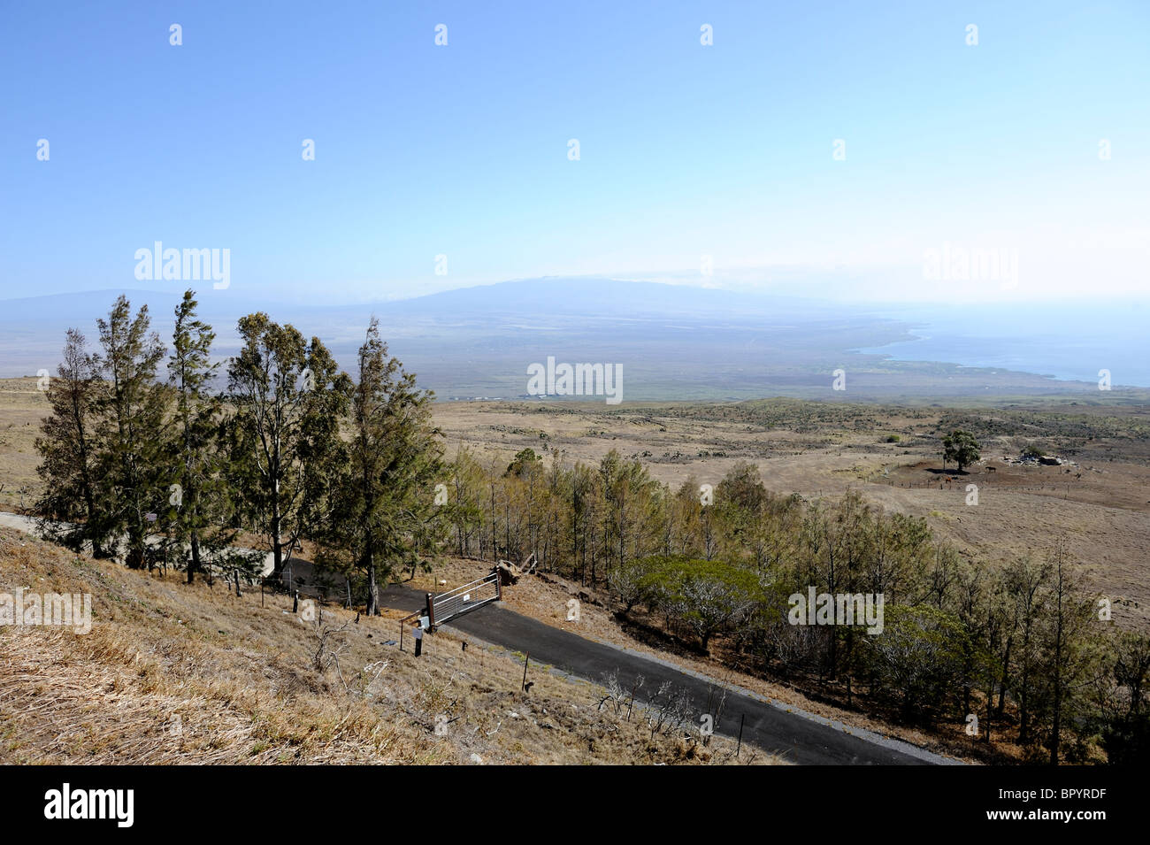 Elevated view of cattle and sheep grazing land near Waimea (aka Kamuela), Big Island, Hawaii USA Stock Photo