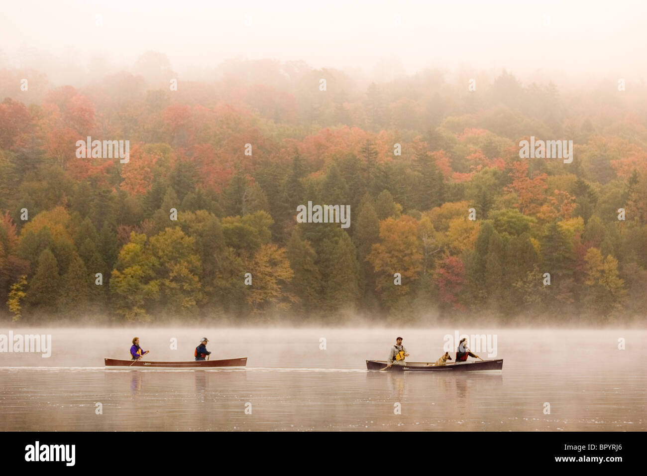Two young couples canoe on Lake Placid on early autumn morning, Lake Placid, New York, USA Stock