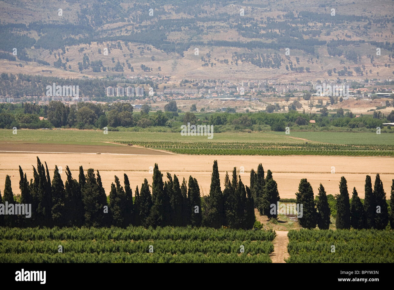 Aerial photograph of green fields in the Upper Galilee Stock Photo
