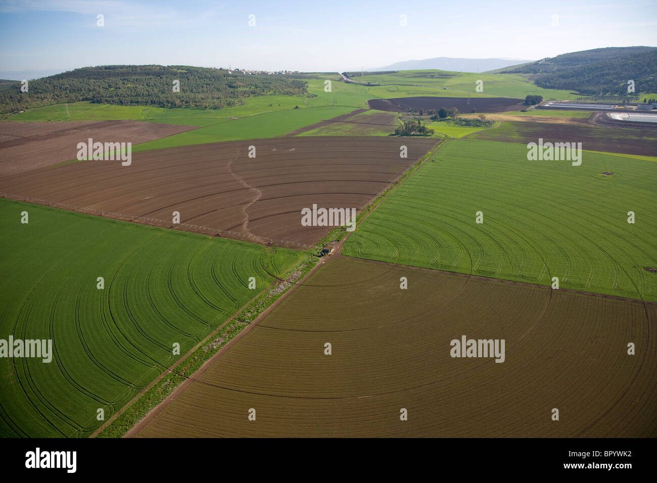 Abstract view of the agriculture fields of the Galilee Stock Photo
