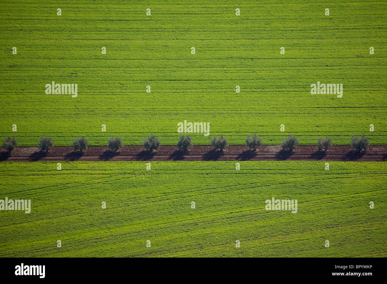 Aerial photograph of the Agriculture fields of the Galilee Stock Photo