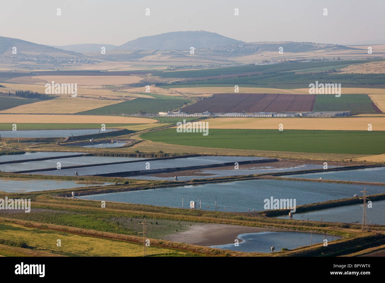 Aerial photograph of the fishponds of the Jezreel valley Stock Photo