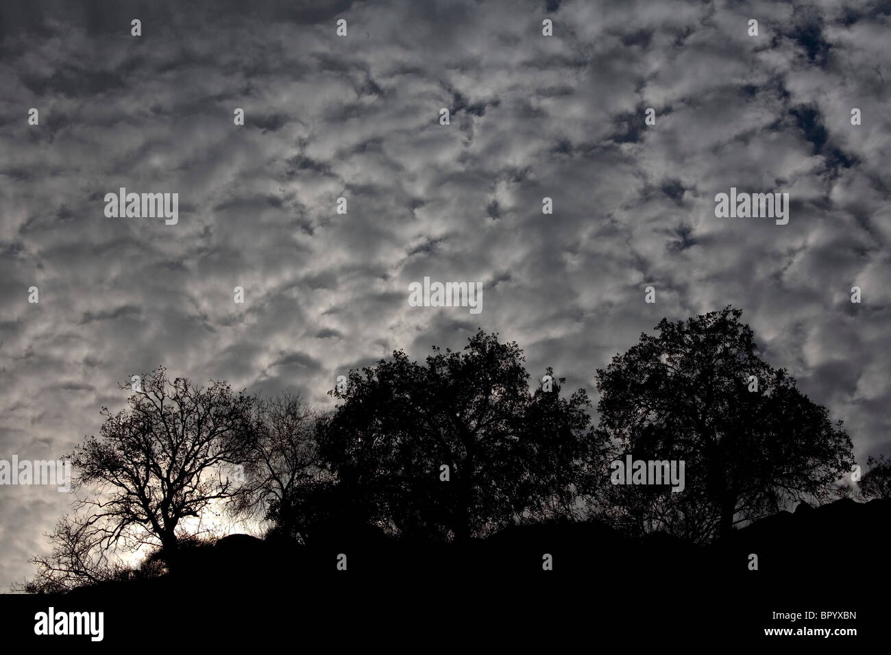 Abstract view of the autumn's skys Stock Photo