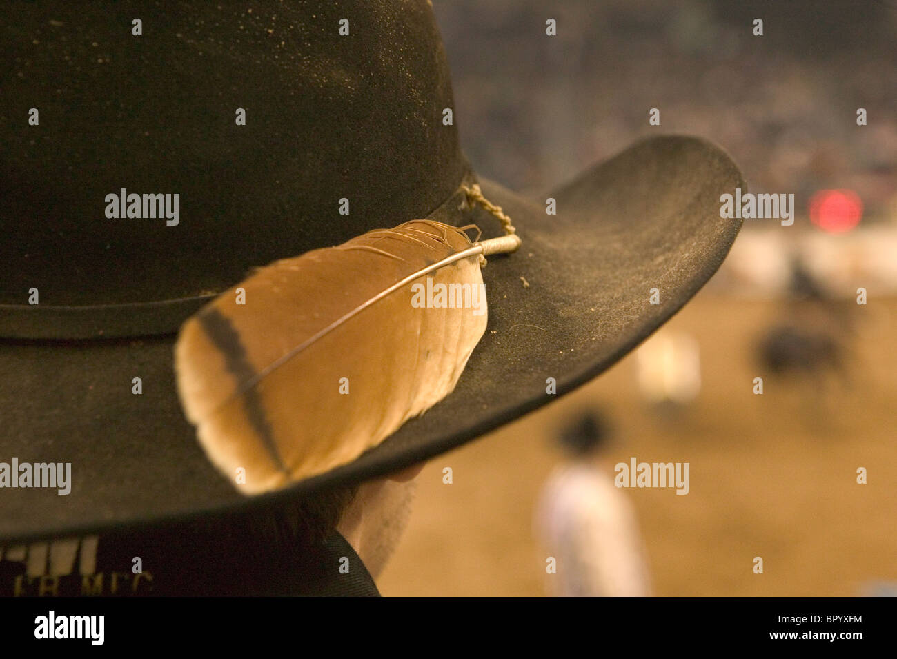 Feather on cowboy hat Stock Photo Alamy