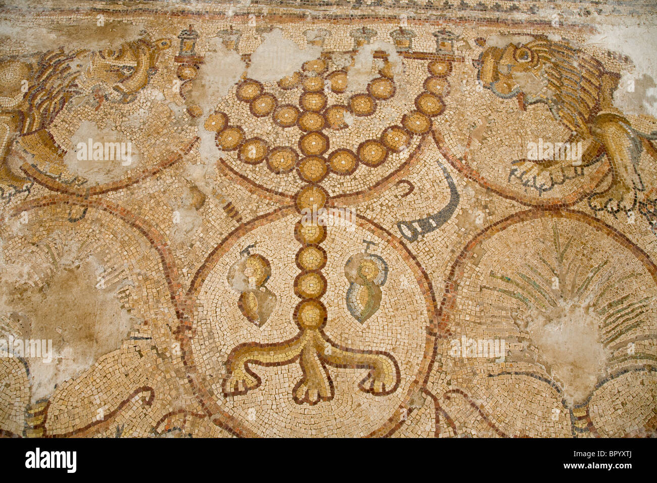Photograph of a mosaic floor in the ancient synagogue of Ma'on Nirim in the western Negev Stock Photo