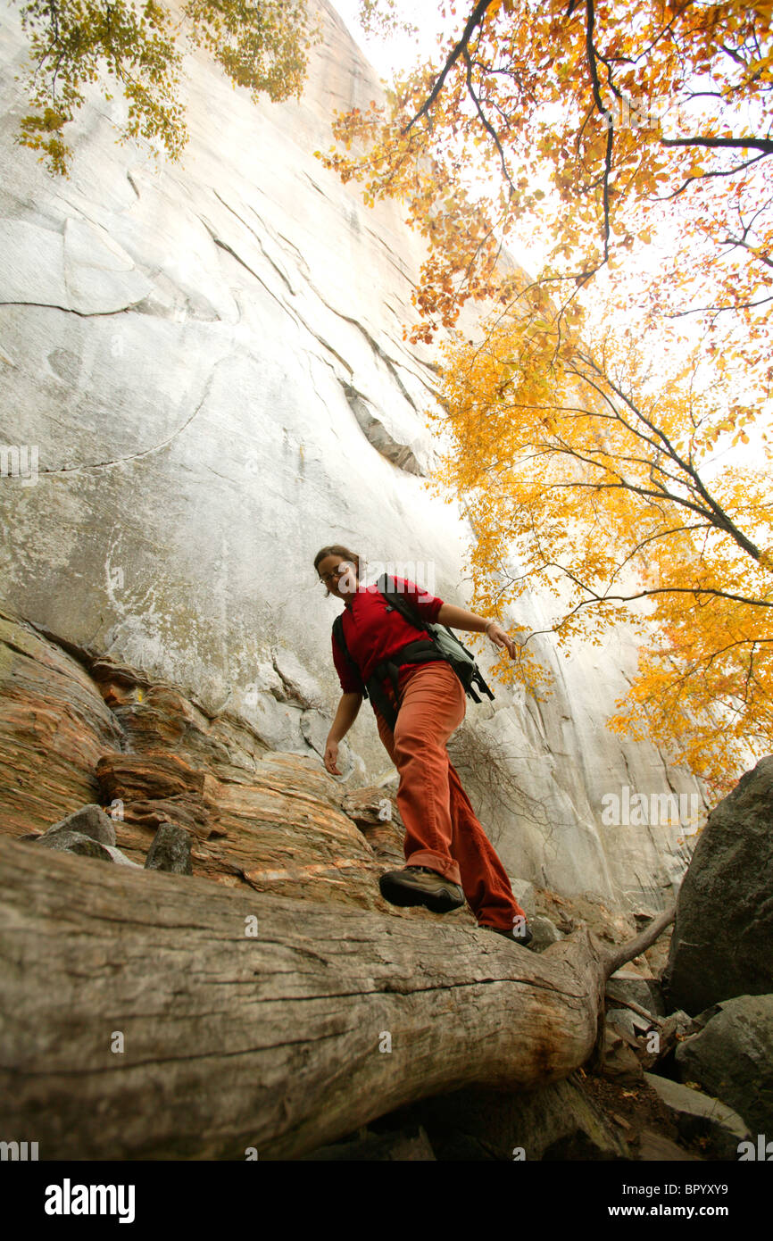 Female hiker amidst fall colors below the North Side at Looking Glass Rock in the Pisgah National Forest near Brevard, NC. Stock Photo
