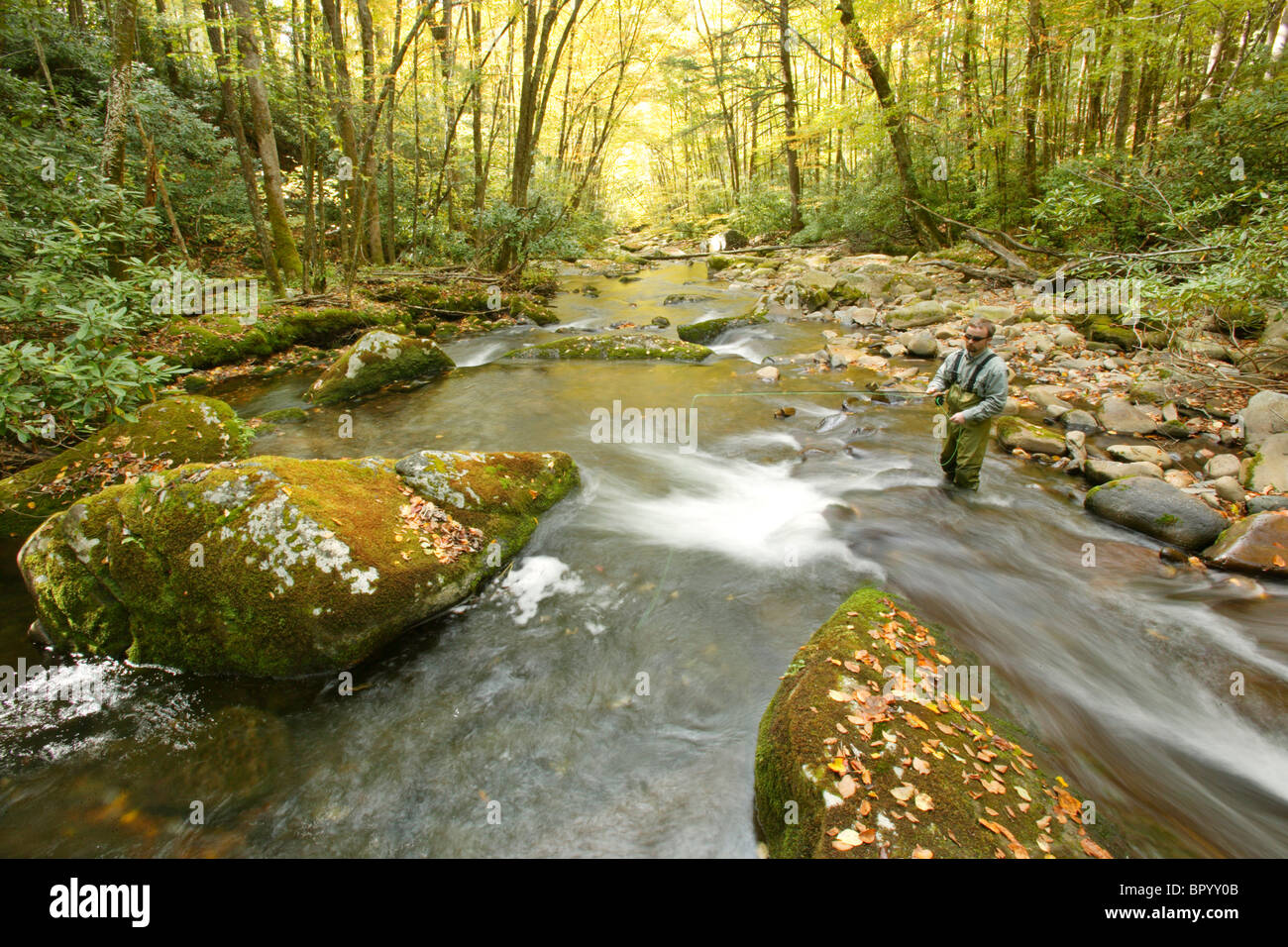Male fly-fisherman under fall colors in the Great Smoky Mountains National Park, NC Stock Photo