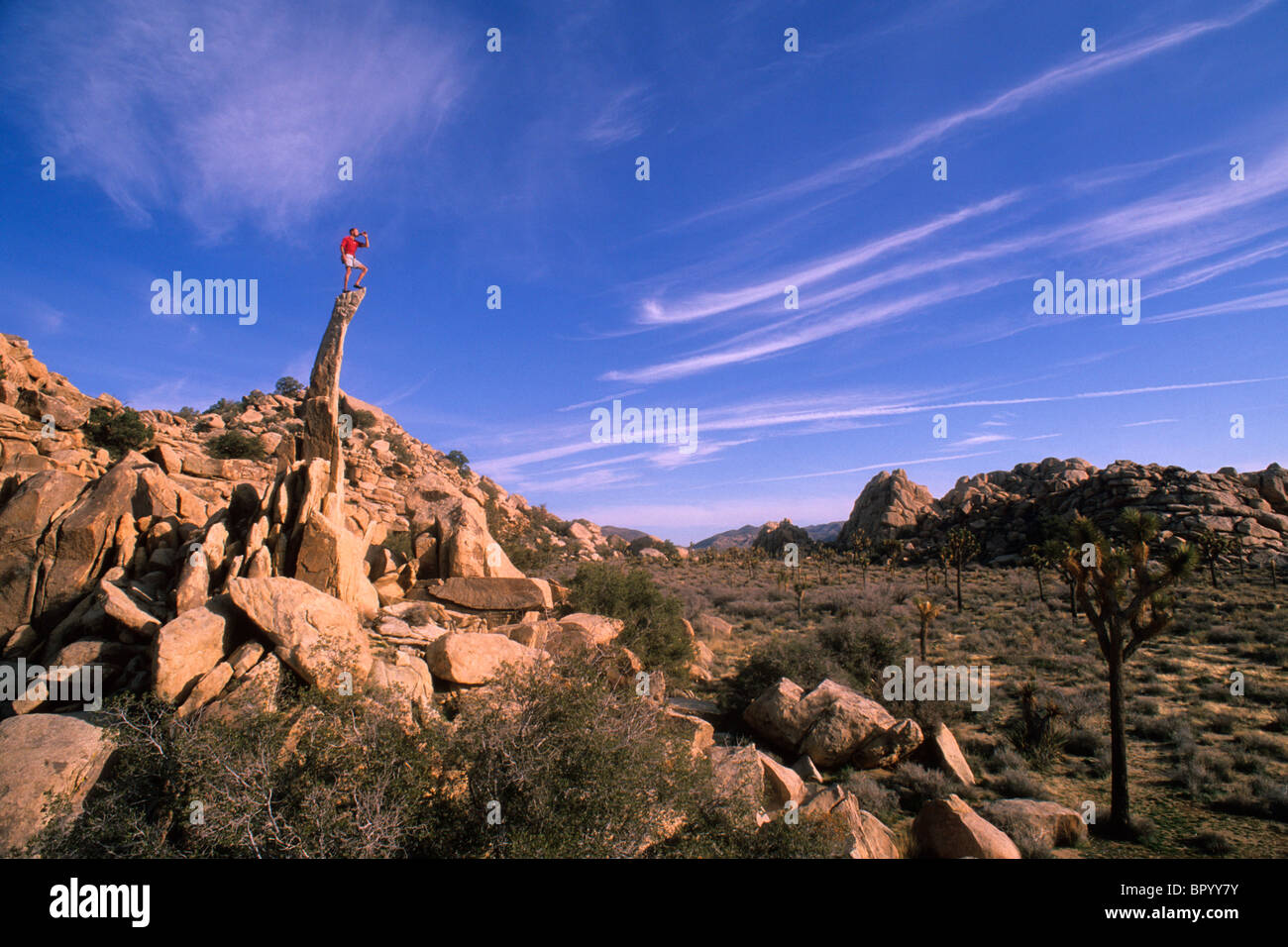 Atop slender hi-res stock photography and images - Alamy