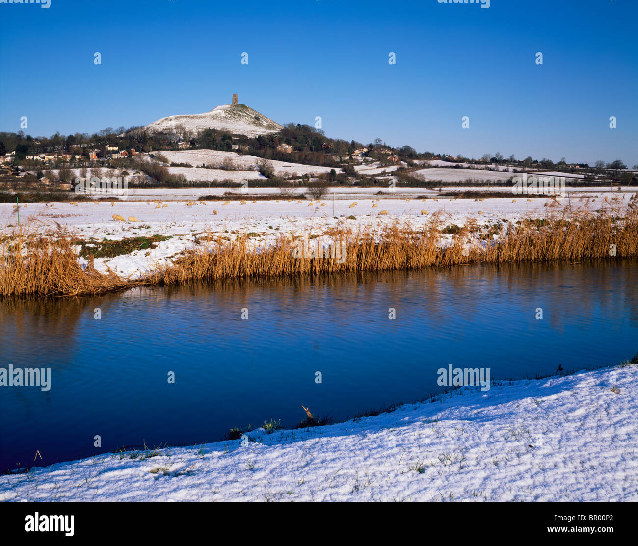 Glastonbury Tor viewed over the River Brue on South Moor in winter snow. Glastonbury, Somerset, England. Stock Photo