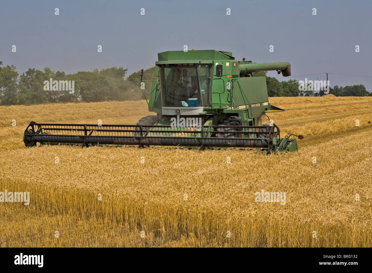 The last wheat harvest on rich black land  in the Dallas Ft Worth Metropolitan area of Texas. Urban sprawl continues. Stock Photo