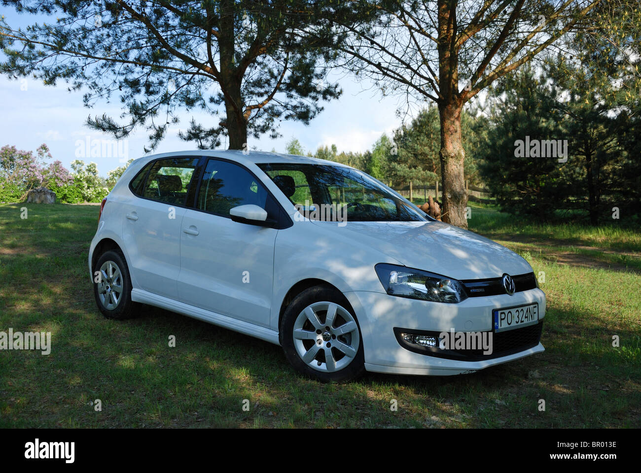 Volkswagen Polo 1.2 TDI BlueMotion - MY 2010 - white - German popular  subcompact eco city car, segment B - countryside, meadow Stock Photo - Alamy