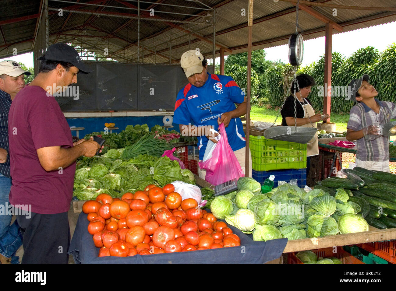Outdoor produce market at Venecia, Costa Rica. Stock Photo