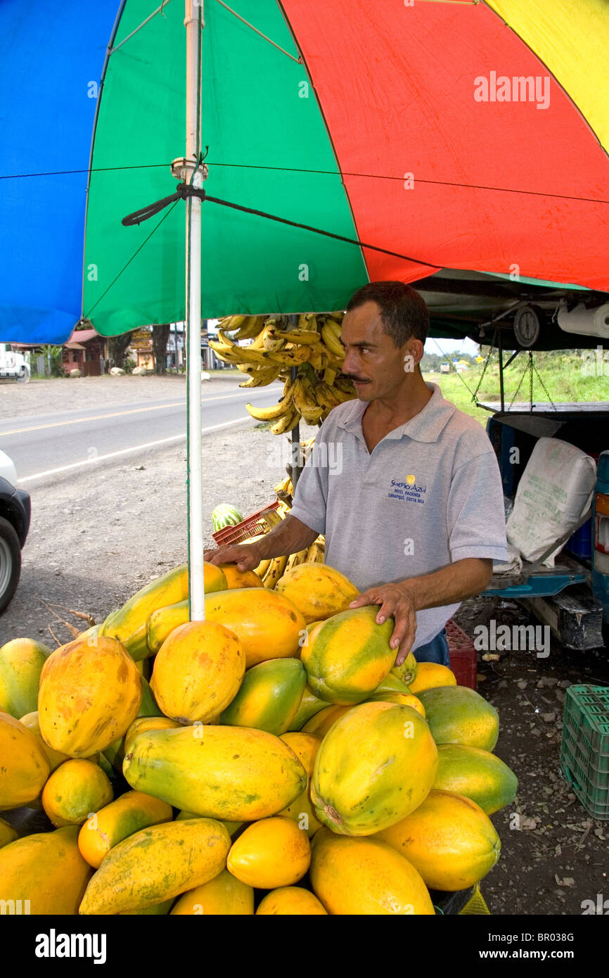 Street vendor selling papayas near Siquirres, Limon province, Costa Rica. Stock Photo