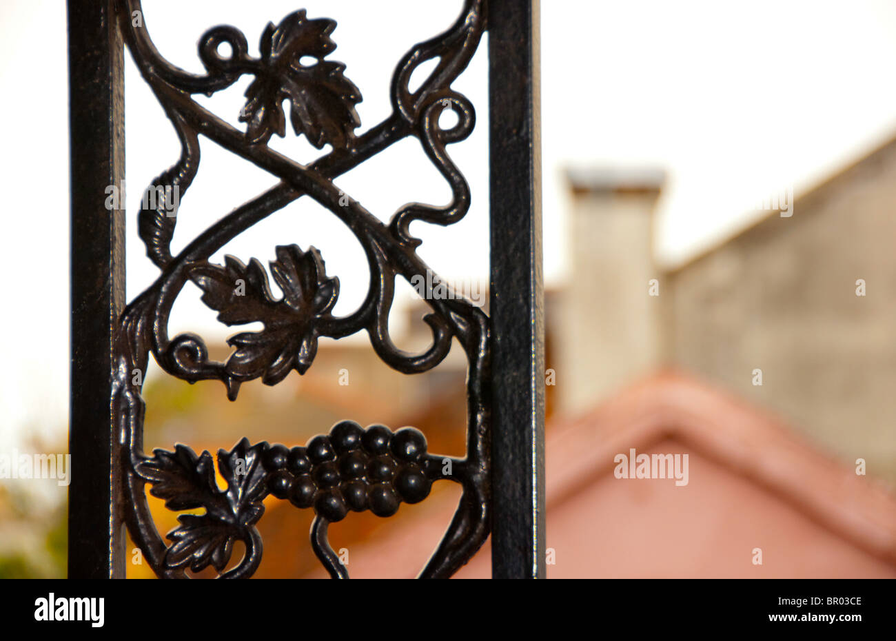 Ornate wrought iron grill work in the French Quarter of New Orleans