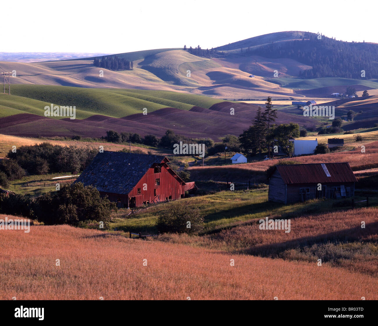 Idaho Farm Stock Photo Alamy