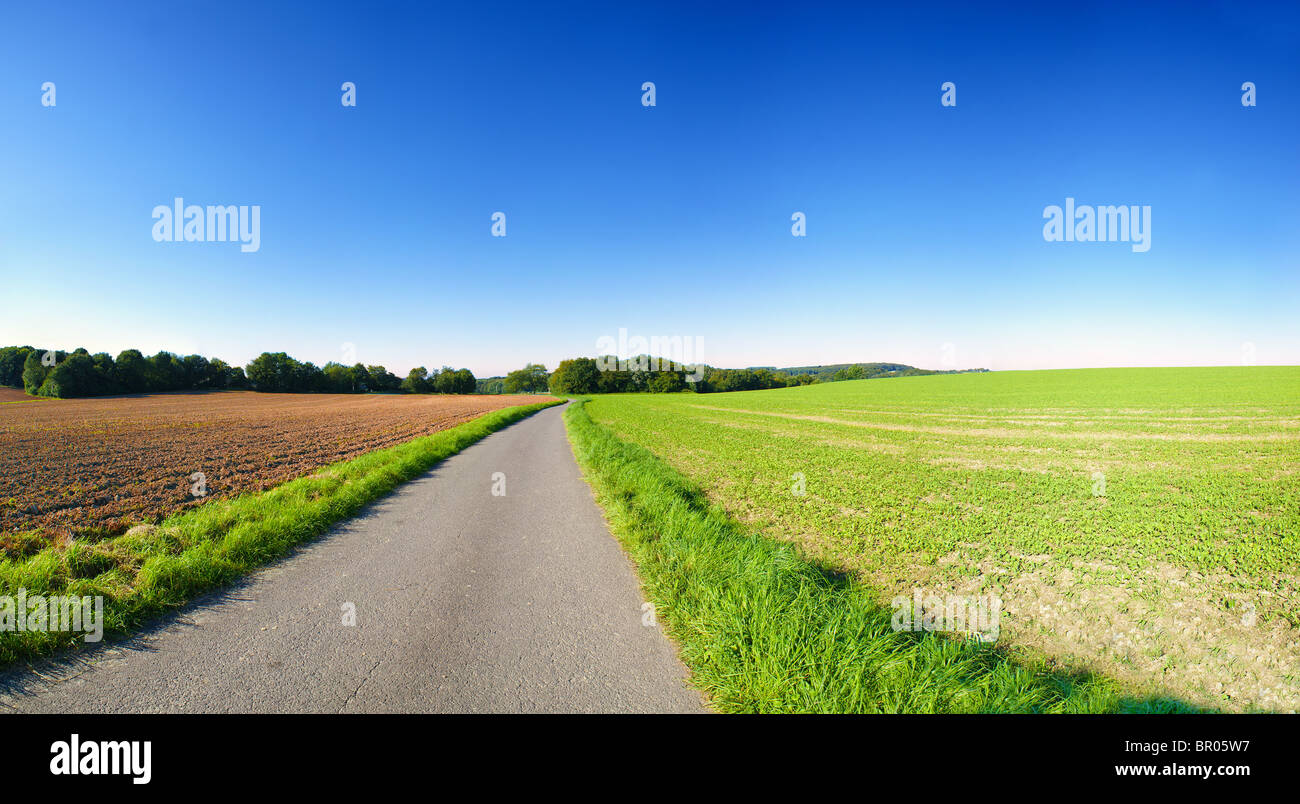 Farming landscape with clear blue sky. Panoramic picture with country road and fields in Germany. Stock Photo
