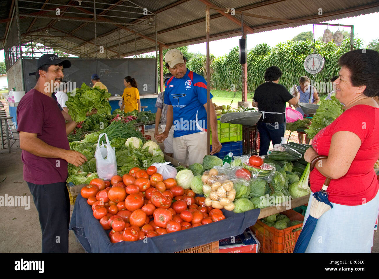 Outdoor produce market at Venecia, Costa Rica. Stock Photo