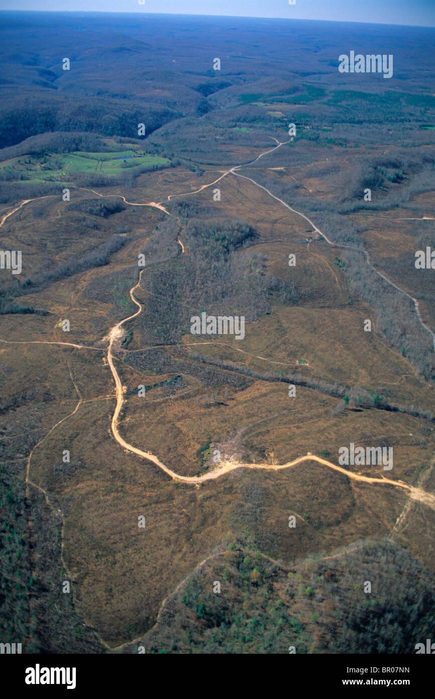 An aerial view of clearcutting. Stock Photo