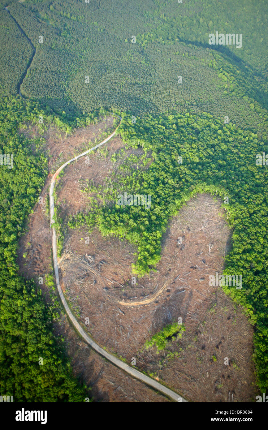 Aerial view of a clearcut logging scar Stock Photo - Alamy