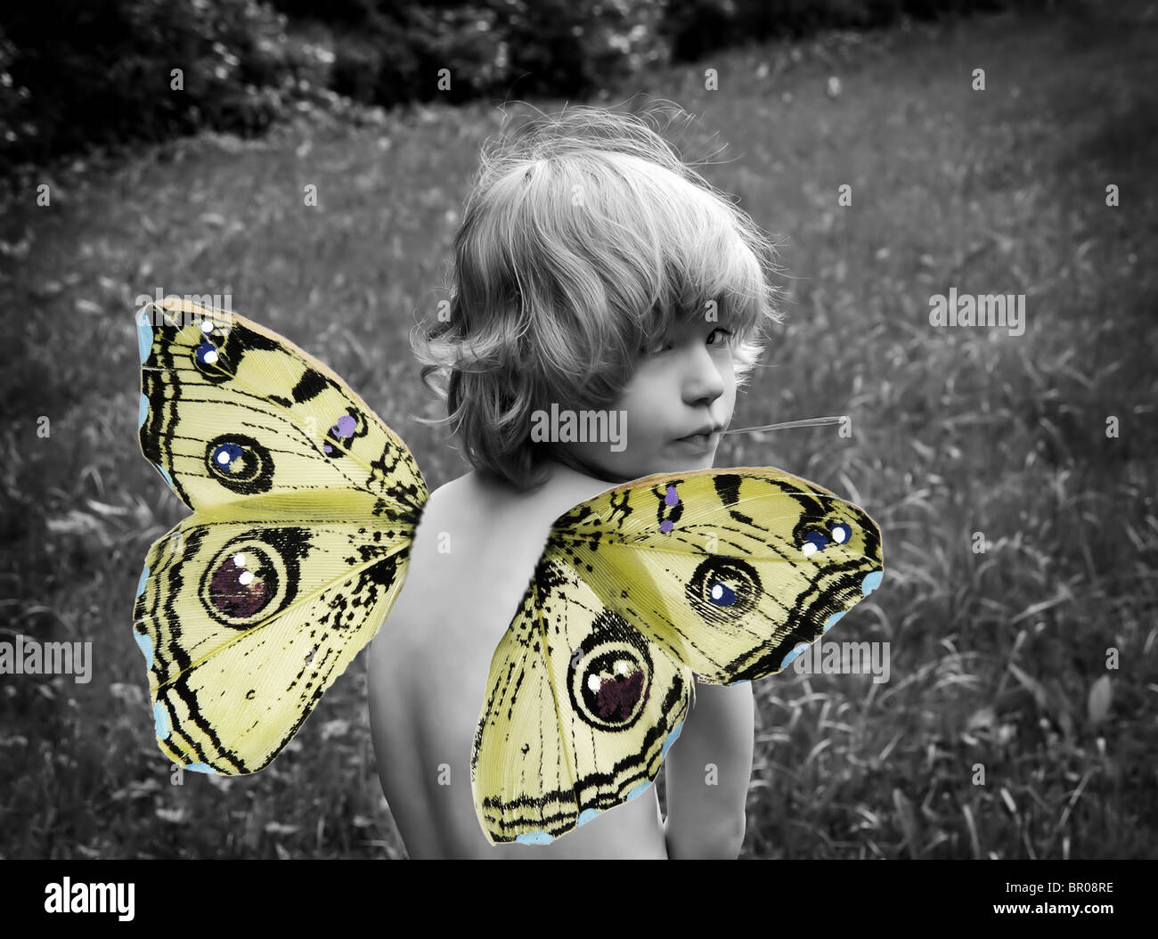 Child with butterfly wings Stock Photo