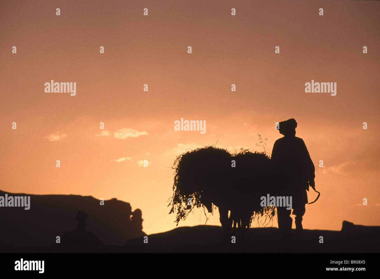 A farmer and donkey loaded with forage walk toward the setting sun, Bamiyan Stock Photo
