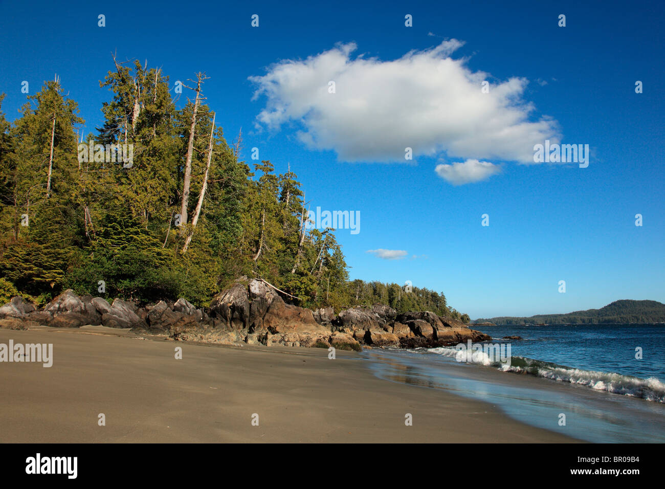 Pacific coast beach Stock Photo
