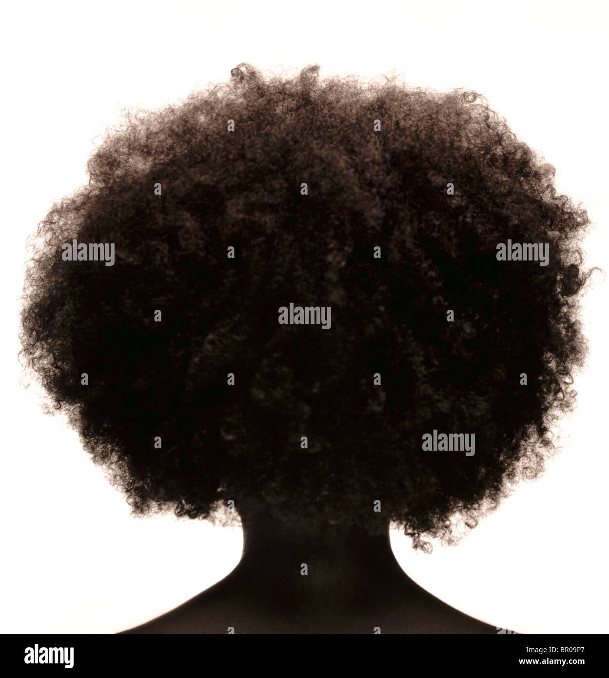 Silhouette of African American womans head with frizzy hair. Stock Photo