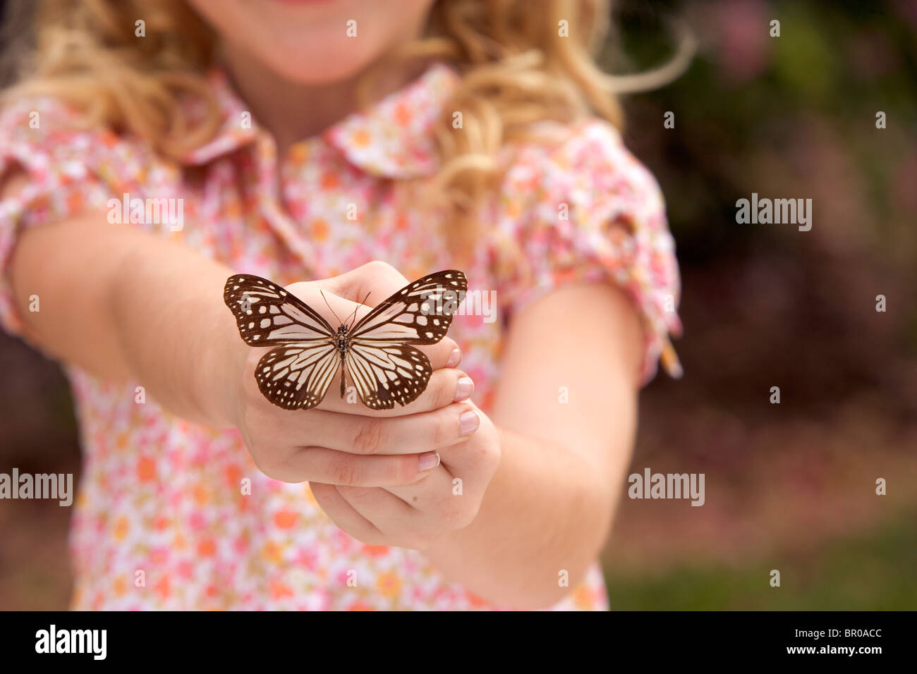 Young Caucasian girl holding a monarch butterfly. Stock Photo