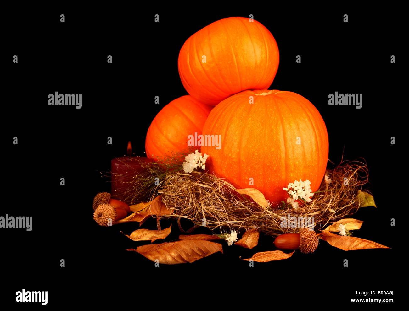 Halloween decoration with pumpkins isolated on black Stock Photo - Alamy
