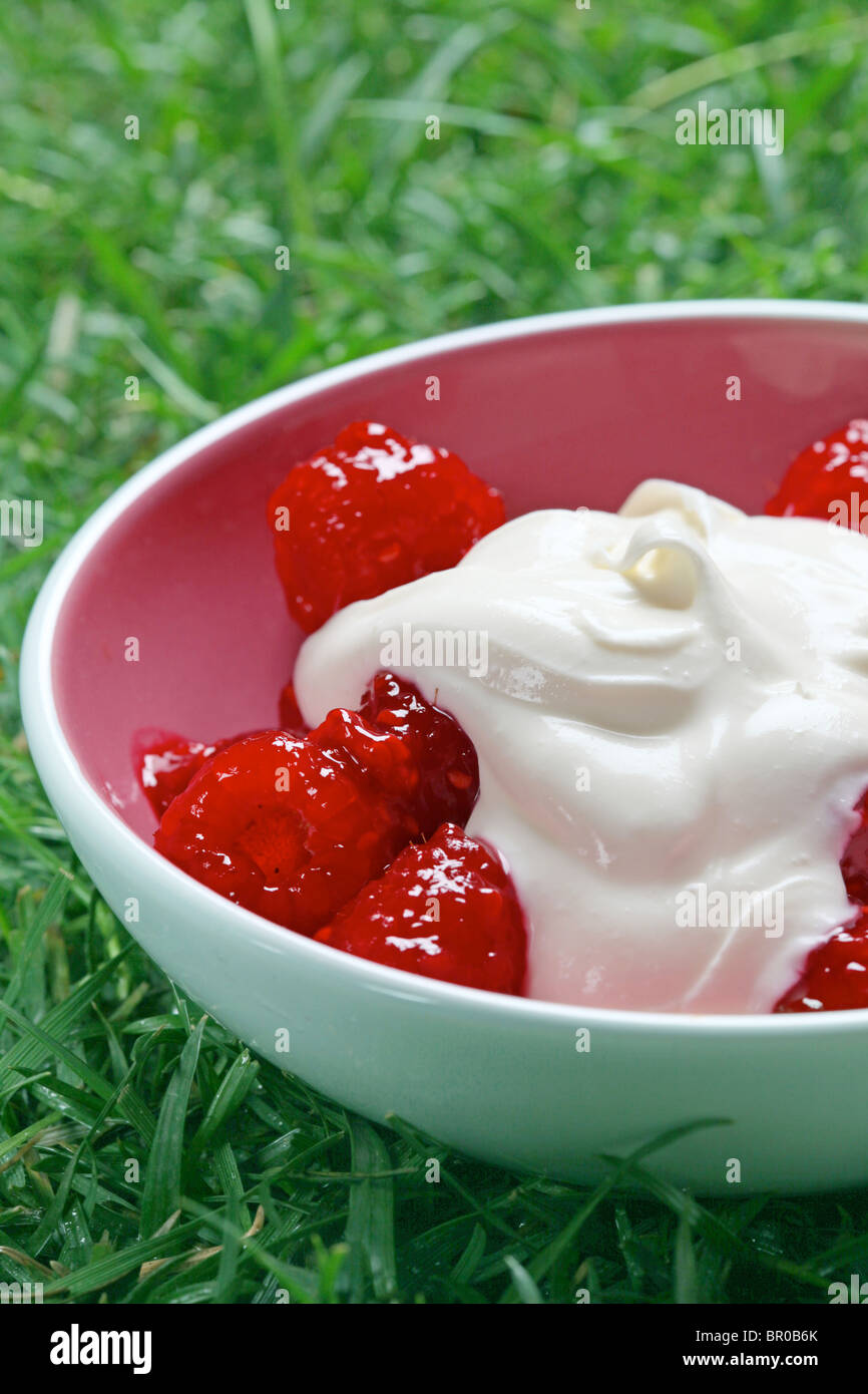 raspberry dessert with whipped cream in pink bowl on grass Stock Photo