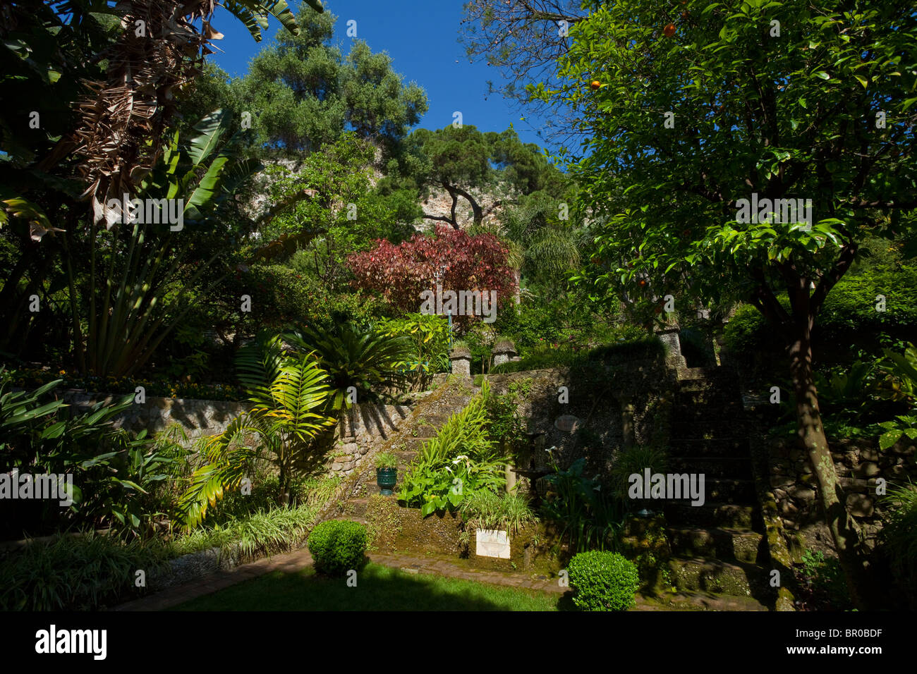 Alameda Gardens Gibraltar High Resolution Stock Photography and Images ...