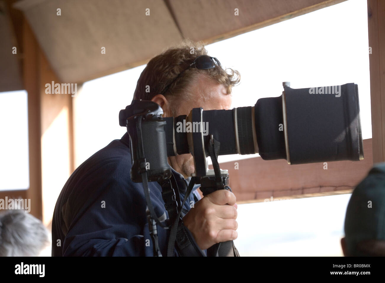 Bird and wildlife Photographer. Using provision of a public hide on a nature reserve. Norfolk. Stock Photo
