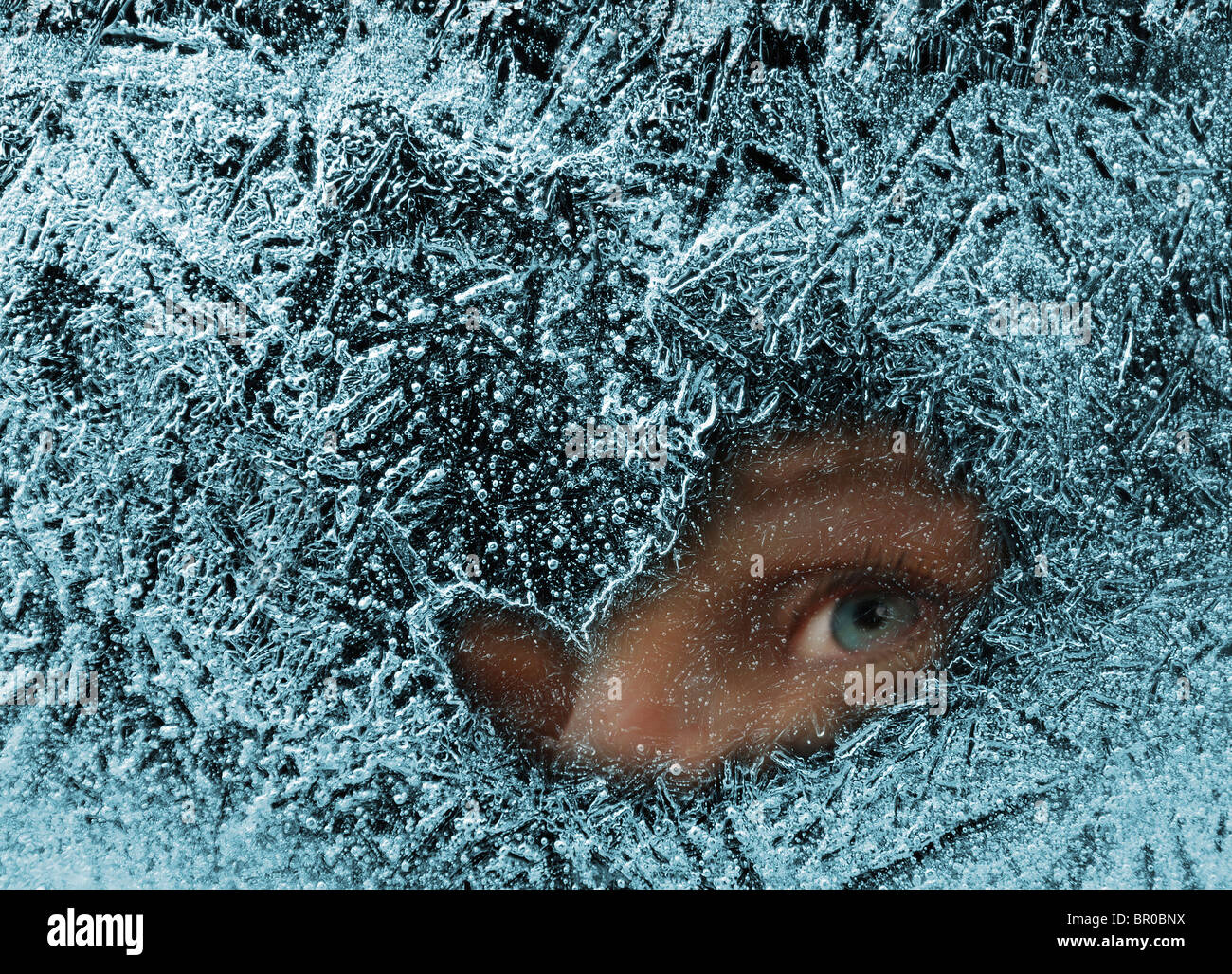 Eyes in ice Stock Photo Alamy