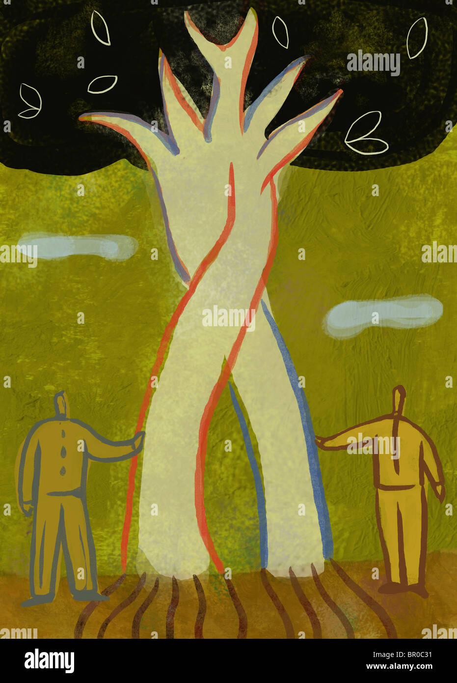 An illustration of two trees growing together Stock Photo Alamy