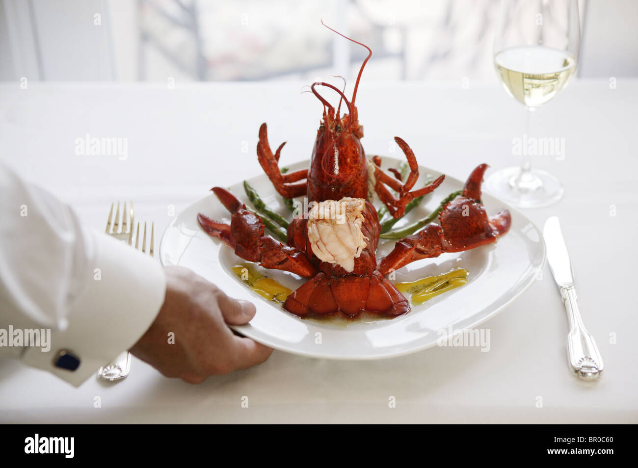 Waiter serving a lobster dinner at an upscale restaurant. Stock Photo