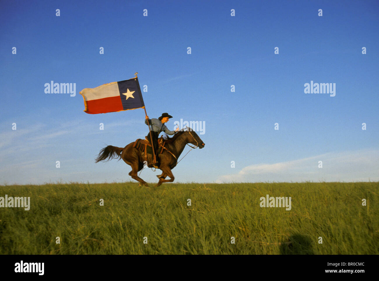 Woman on horseback galloping with Texas Flag. Stock Photo