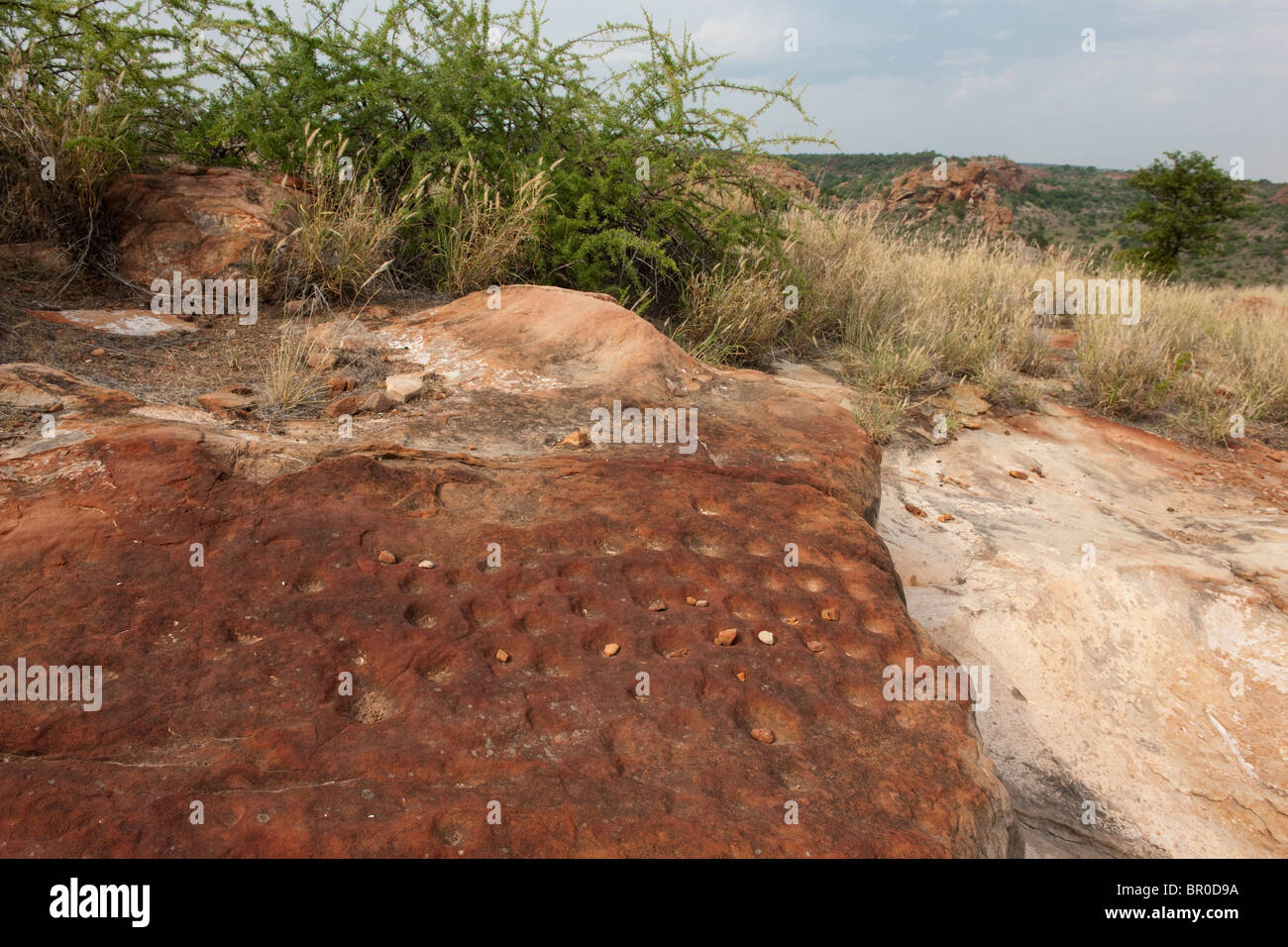 Bao game found on Mapungubwe Hill, archaeological site, Mapungubwe