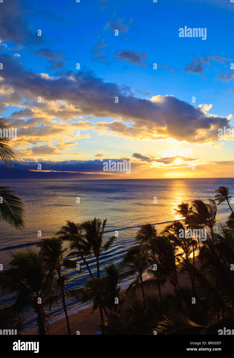 Kaanapali beach palms hi-res stock photography and images - Alamy