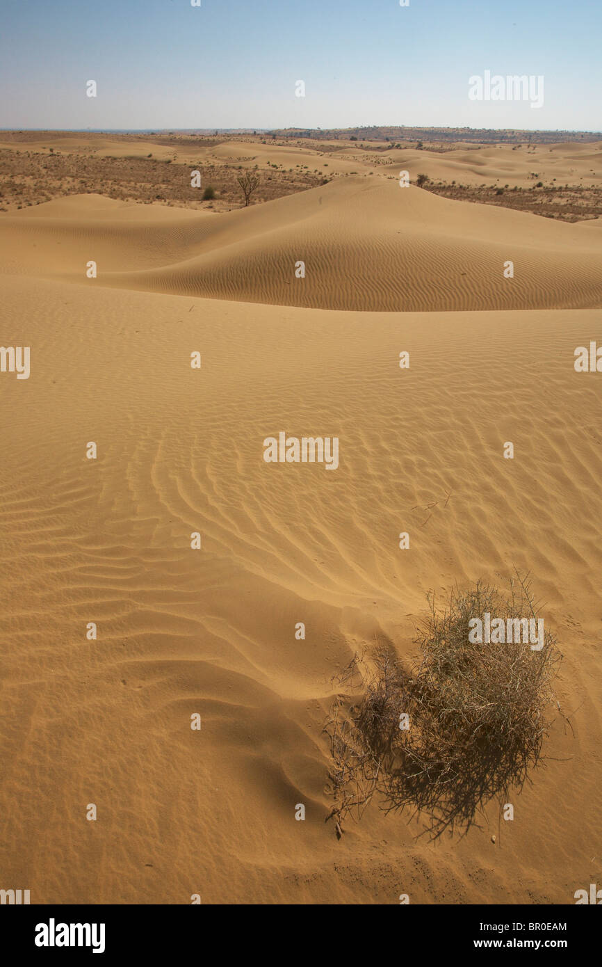 The dunes between Jaisalmer and Jodhpur Stock Photo Alamy