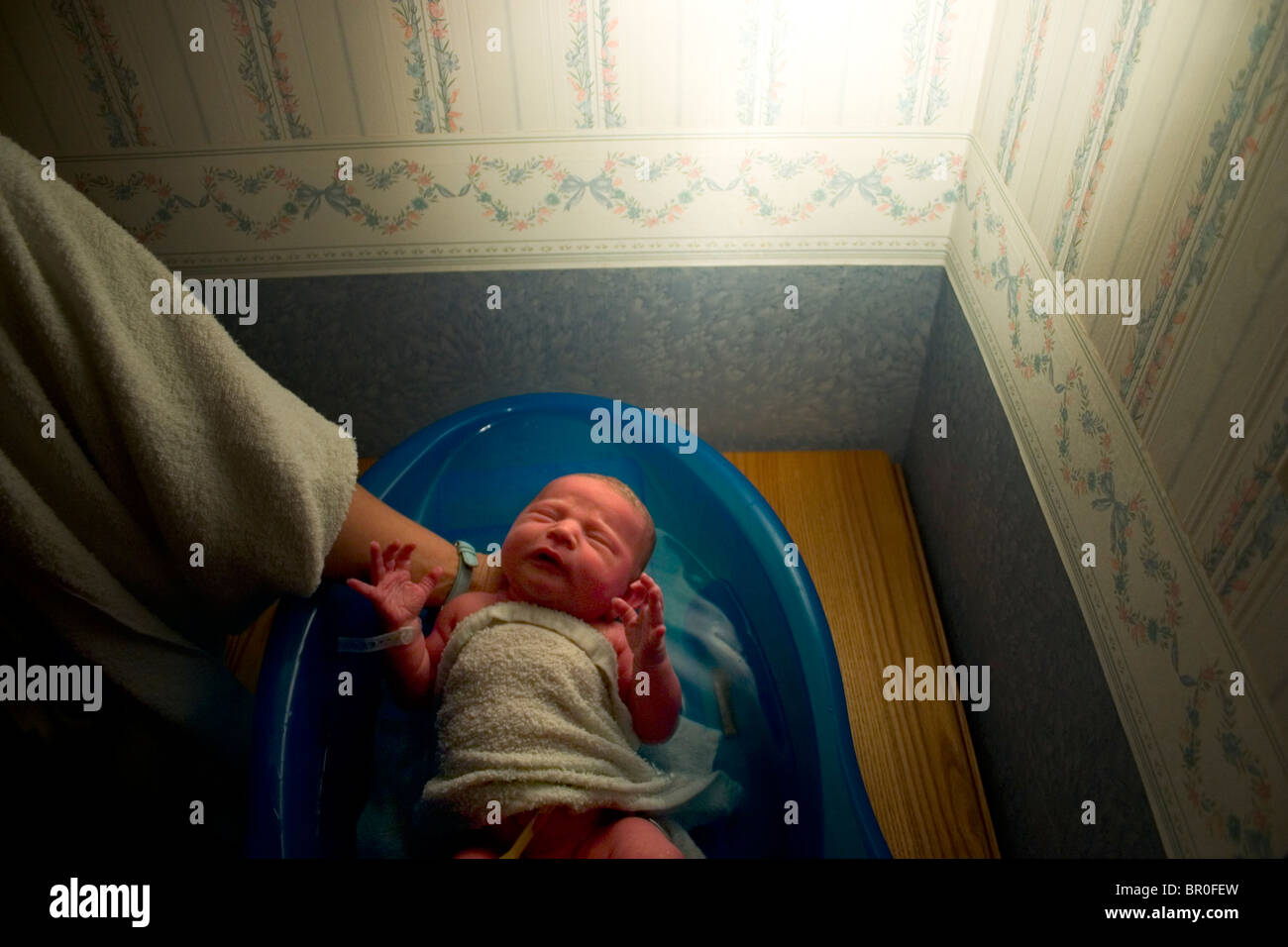 Newborn baby getting its first bath Stock Photo Alamy