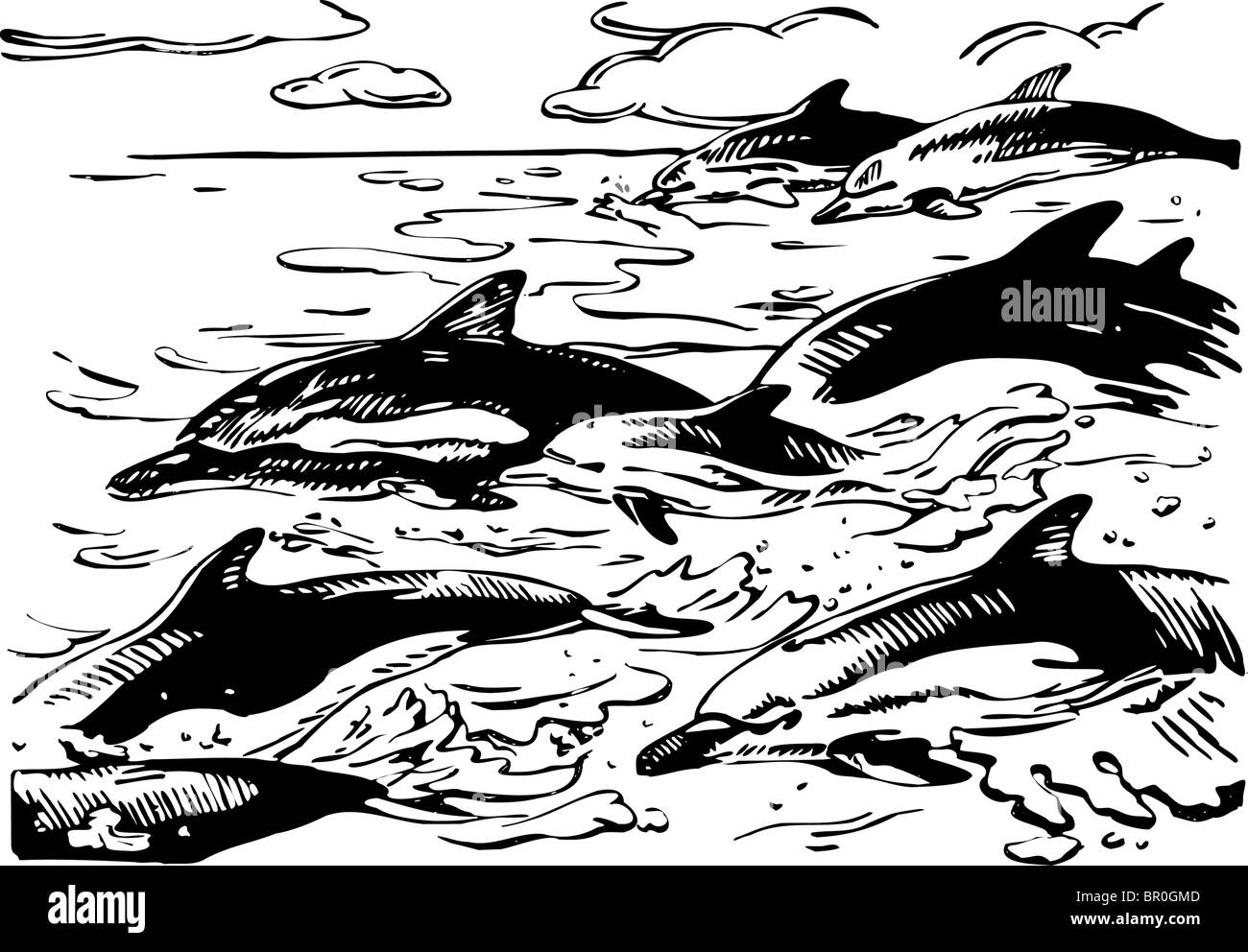 A group of dolphins swimming in the ocean illustraed in black and white Stock Photo