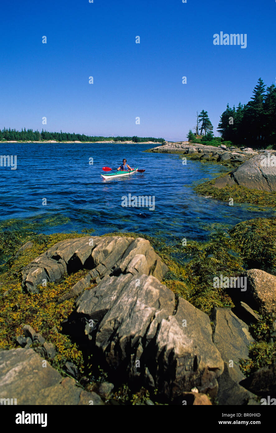 Sea Kayaking Nova Scotia Stock Photo Alamy
