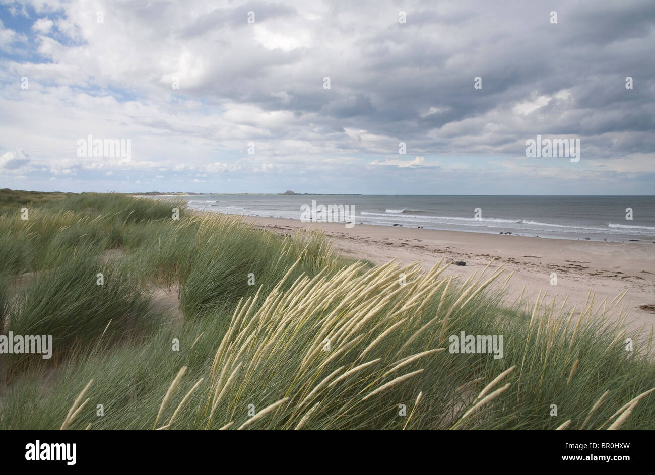 Ross sands northumberland hi-res stock photography and images - Alamy