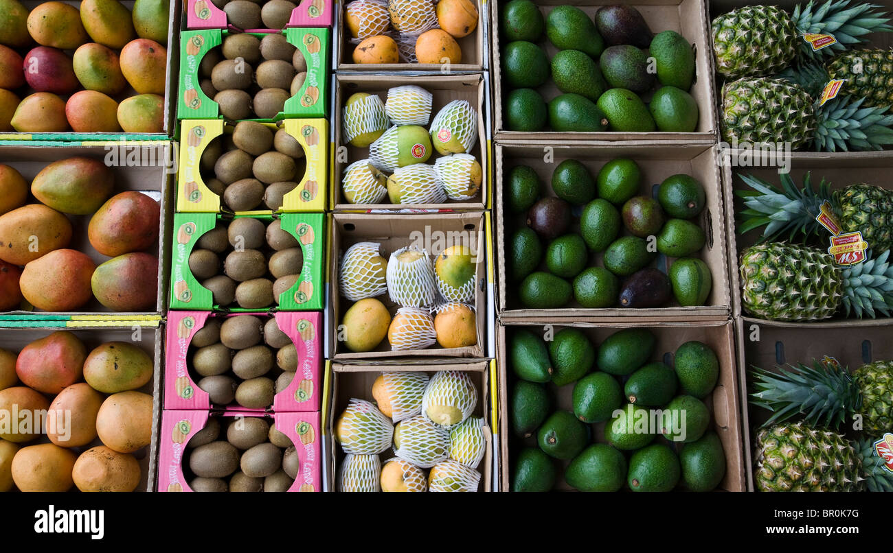 UAE, Abu Dhabi. Closeup of various fruit in boxes on display at a