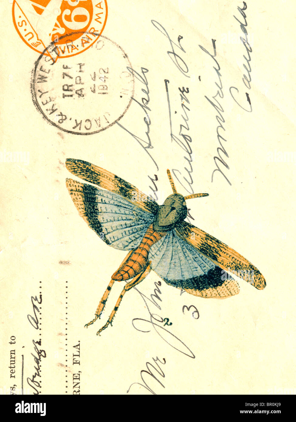 An old envelope with stamps from USA, handwriting and a moth Stock Photo