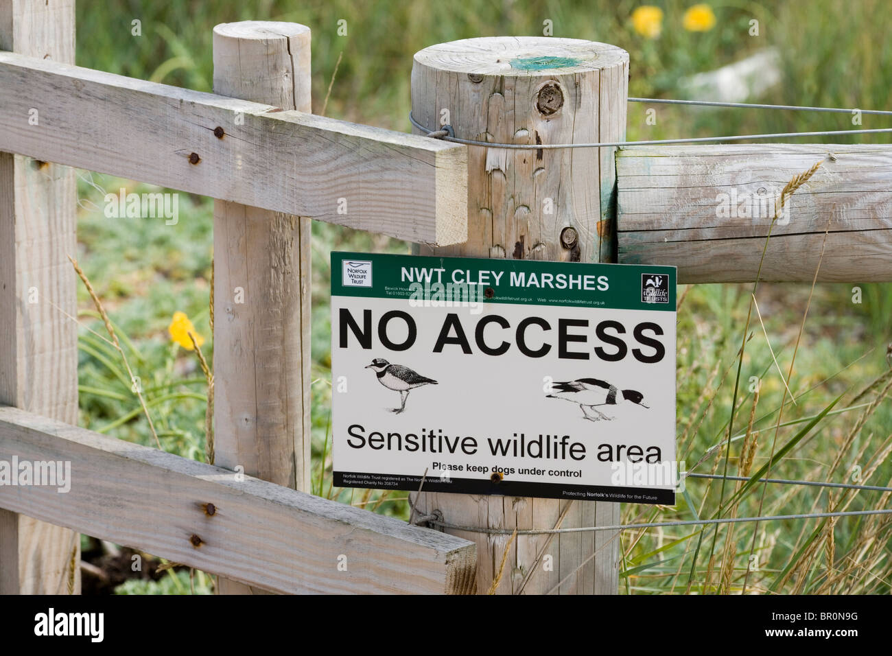 Sign. No Access. Sensitive wildlife area. Stock Photo