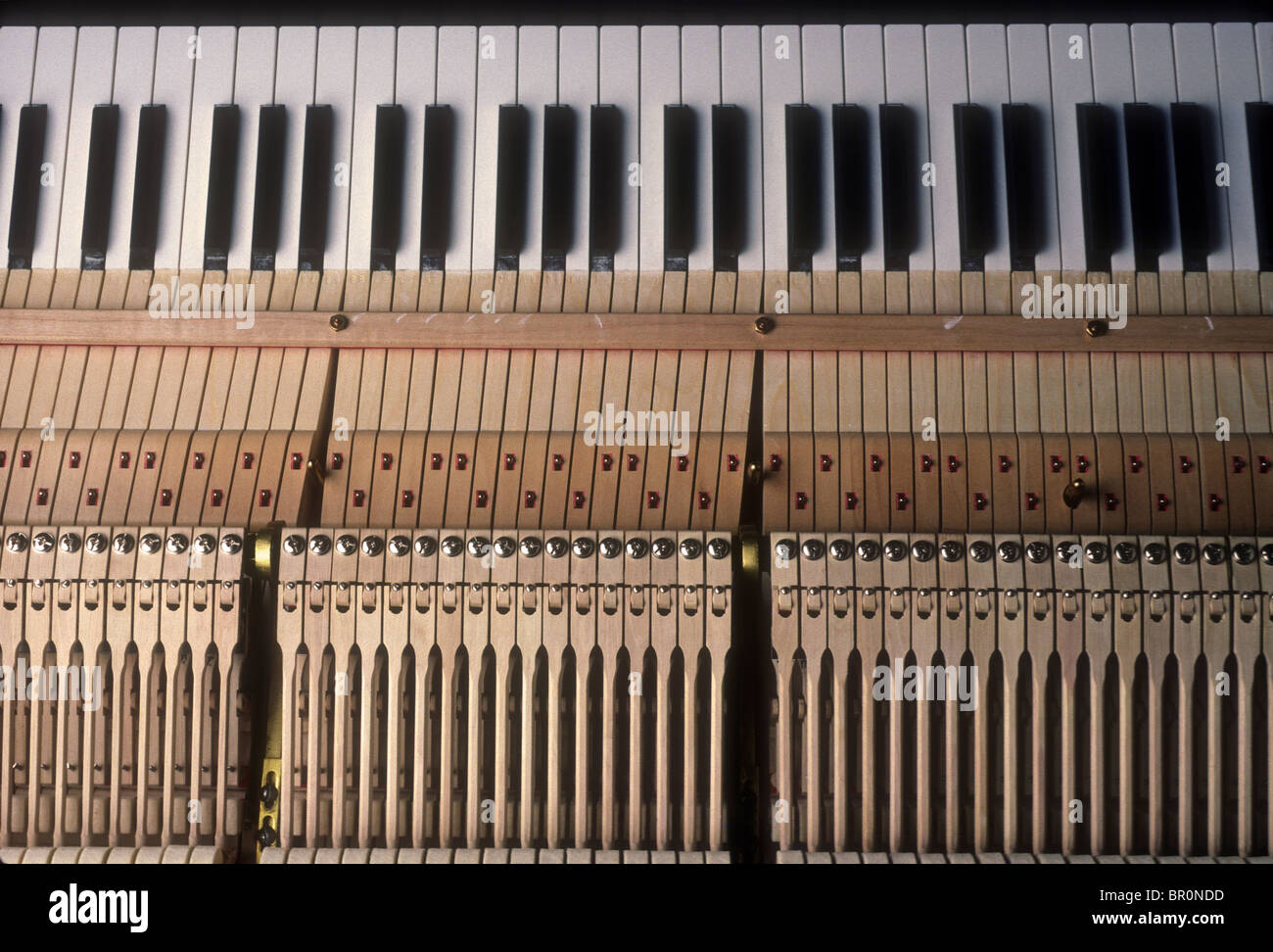 Piano keys and hammers Stock Photo Alamy